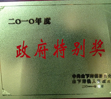 2010年度政府特别奖-浙江亿达珍珠有限公司