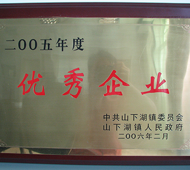 2005年度优秀企业-浙江亿达珍珠有限公司
